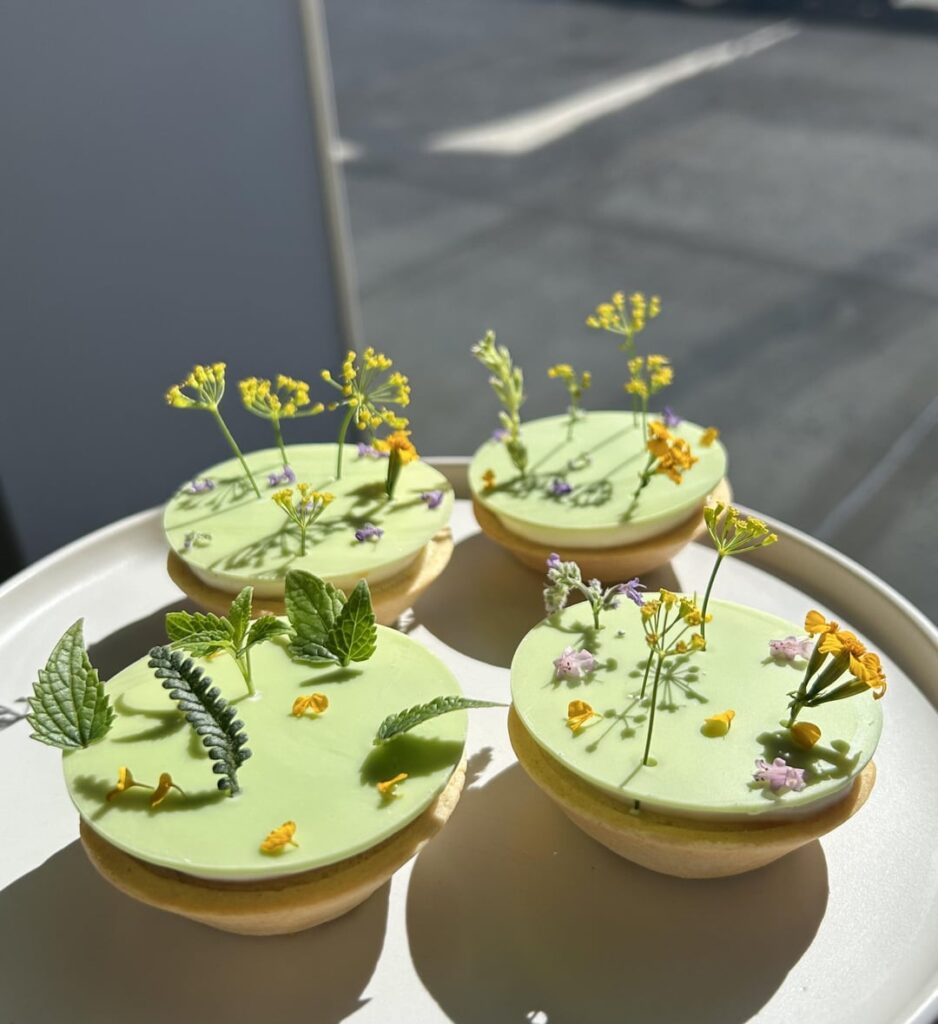 Key Lime Pies🍋🟩🥧🌼! Key Lime Pies🍋🟩🥧🌼!