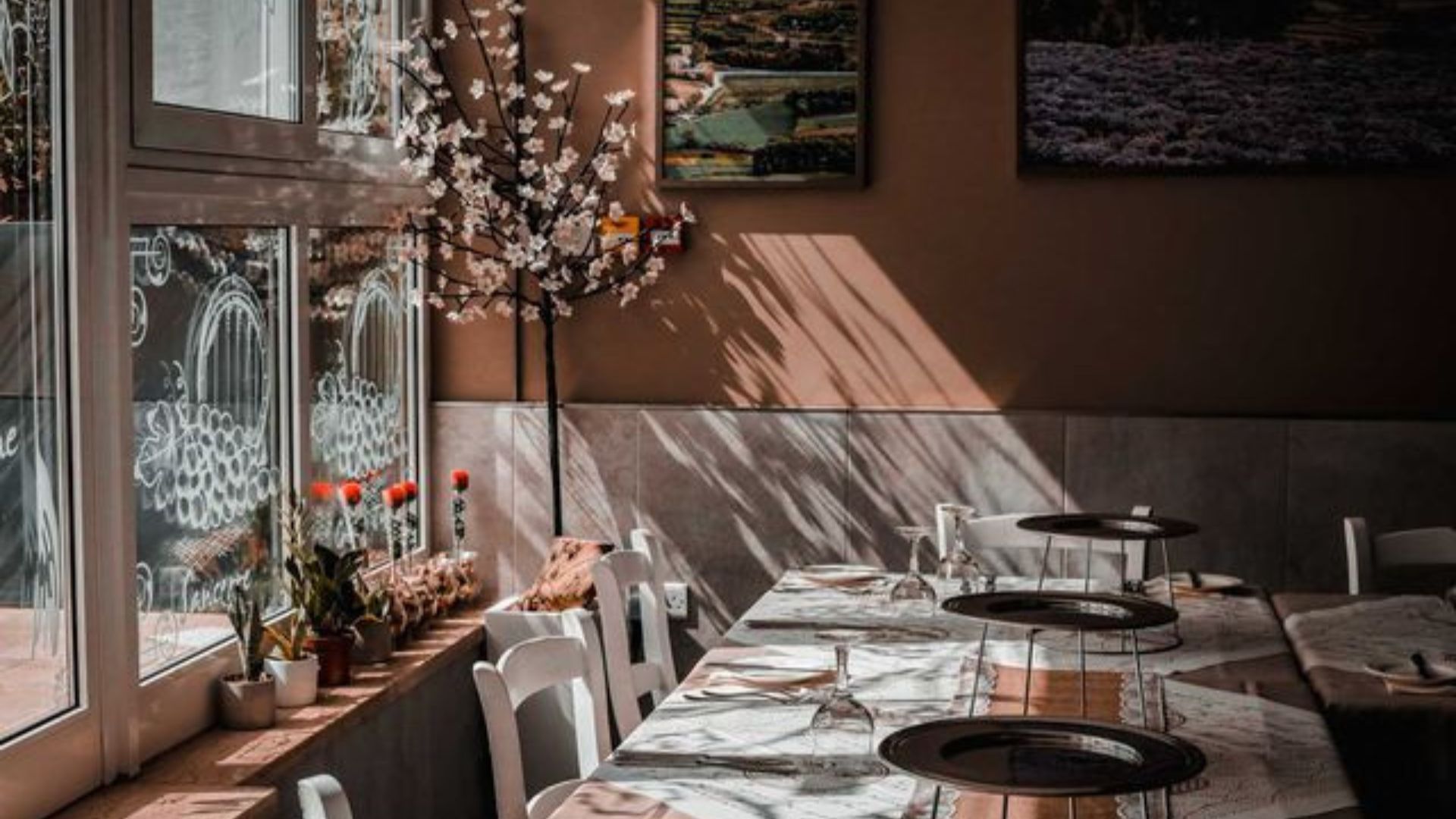 Wine making countries