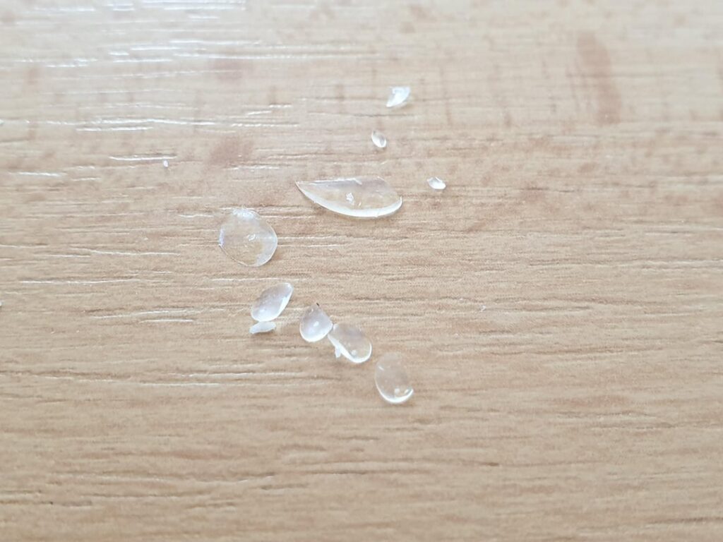 Found these in the holes of a cheese, does anyone know what they are?