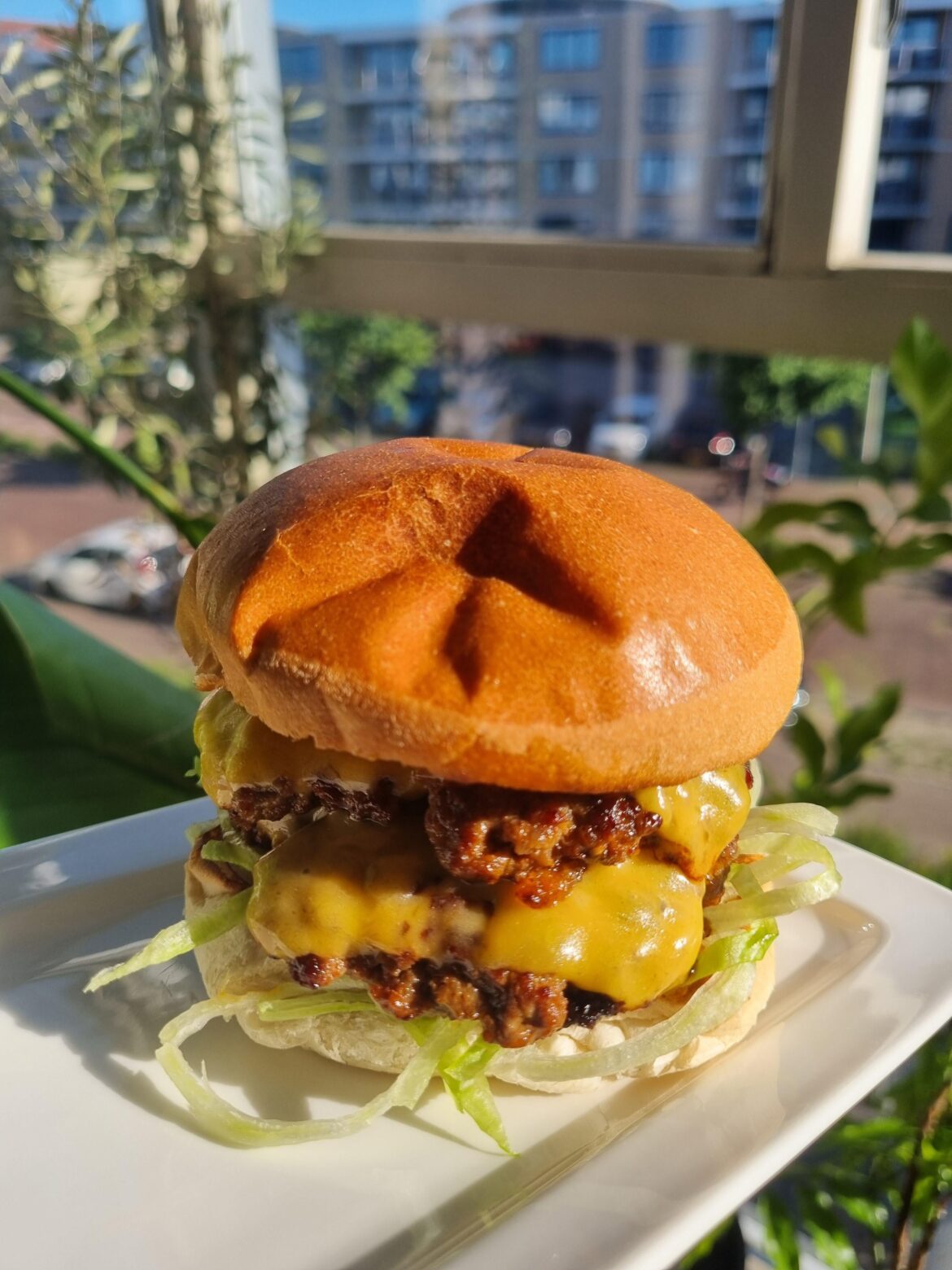 Double cheeseburger