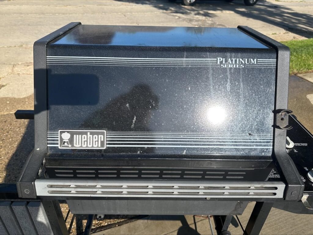 First Restoration - Help??