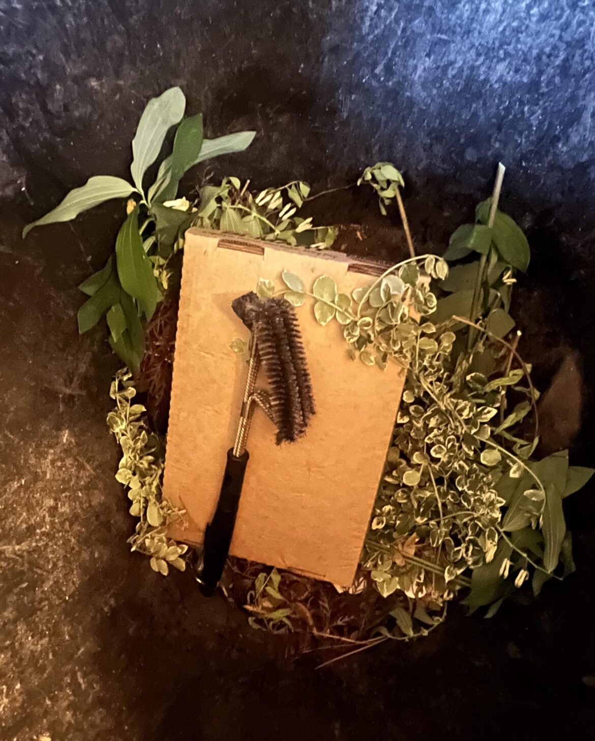 I’ve tossed my Wire Grill Brush. You should too.