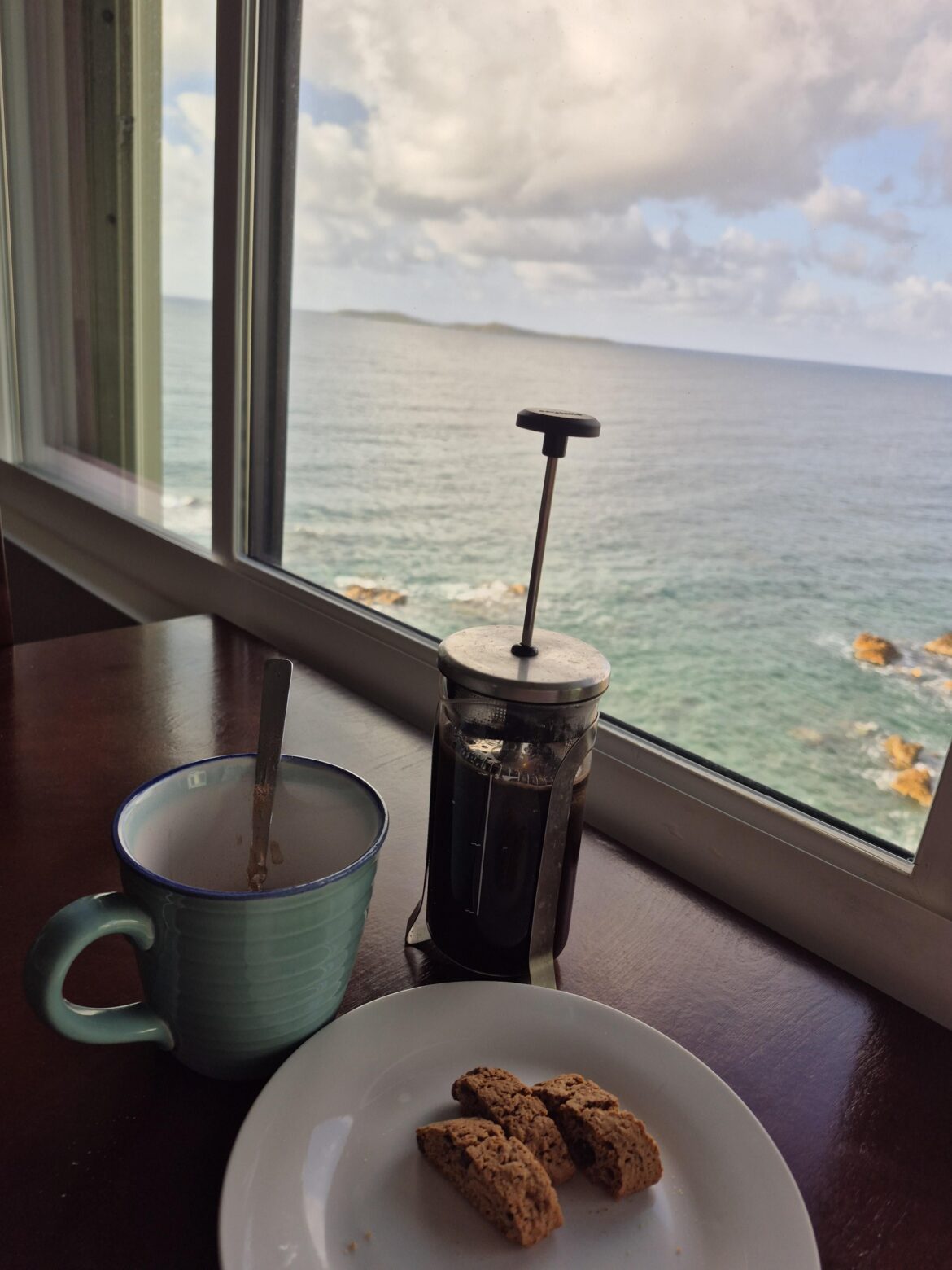 Morning View with my French Press