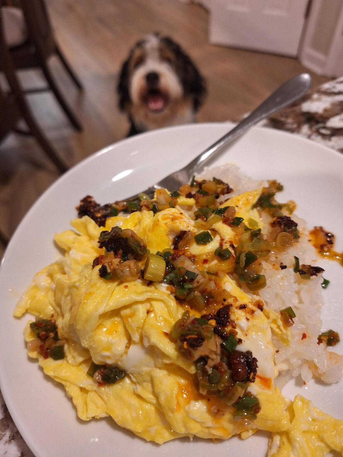 Scrambled chicken eggs and rice with ginger scallion sauce and chili crisp