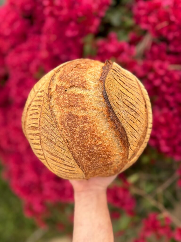 Offering Fresh Sourdough to anyone near Echo Park!
