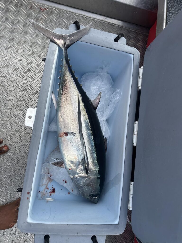 Caught and smoked an Albacore Tuna on my Traeger