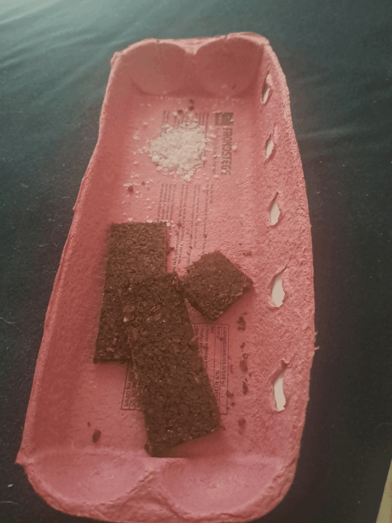 Eating dense pumpernickel bread slices dipped in seasalt. eaten from the top of an egg carton in bed