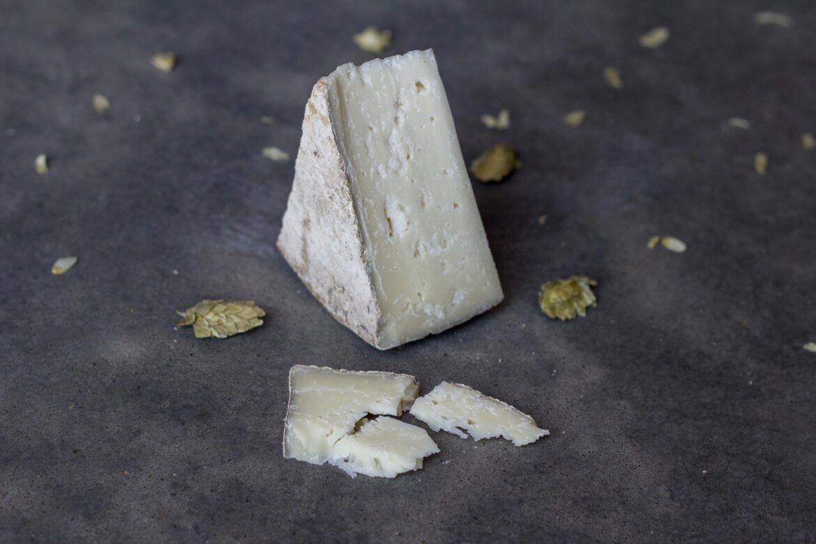 Day 1655 of posting images of cheese until I run out of cheese types: Calypso