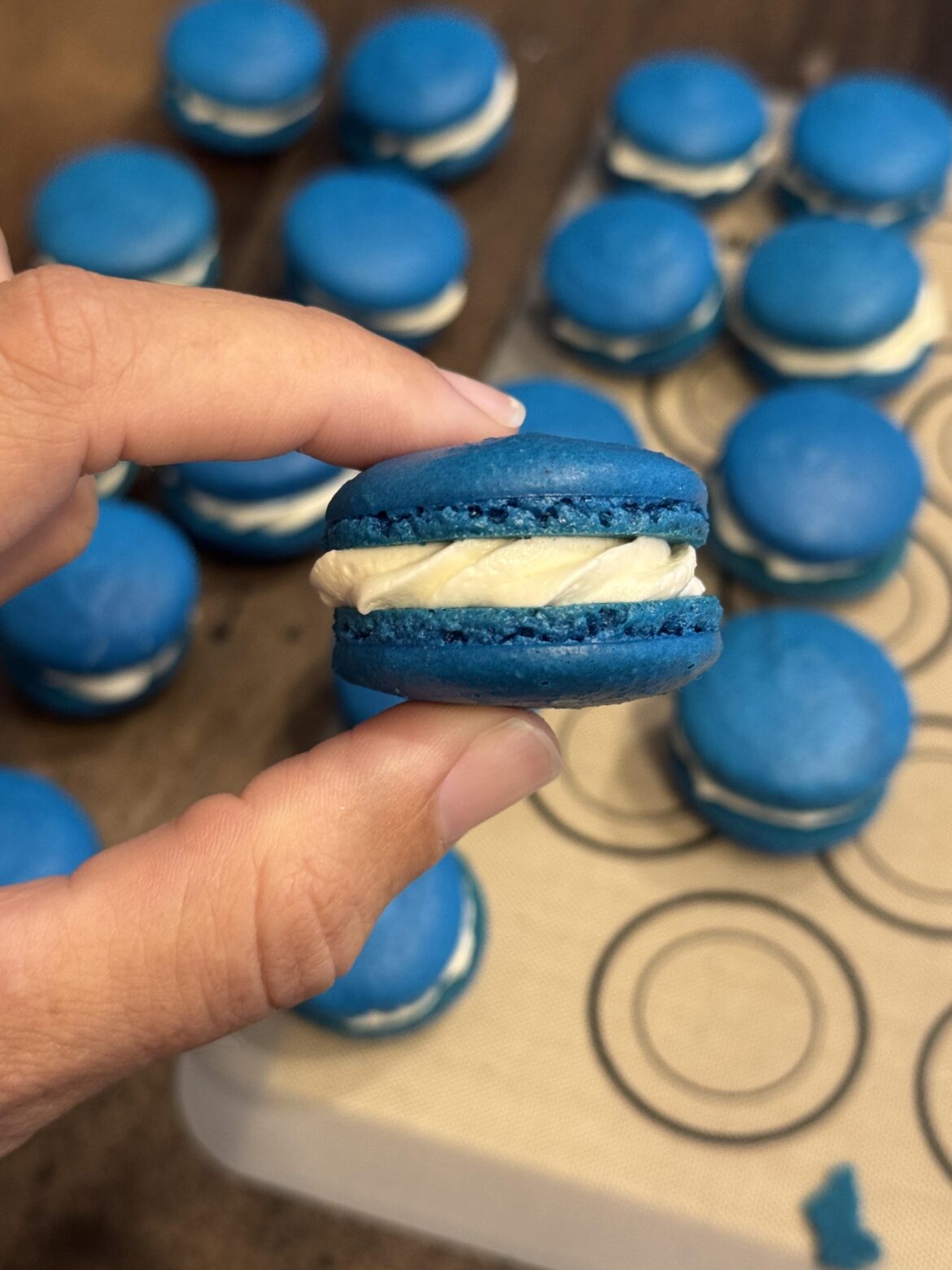 Blueberry macarons