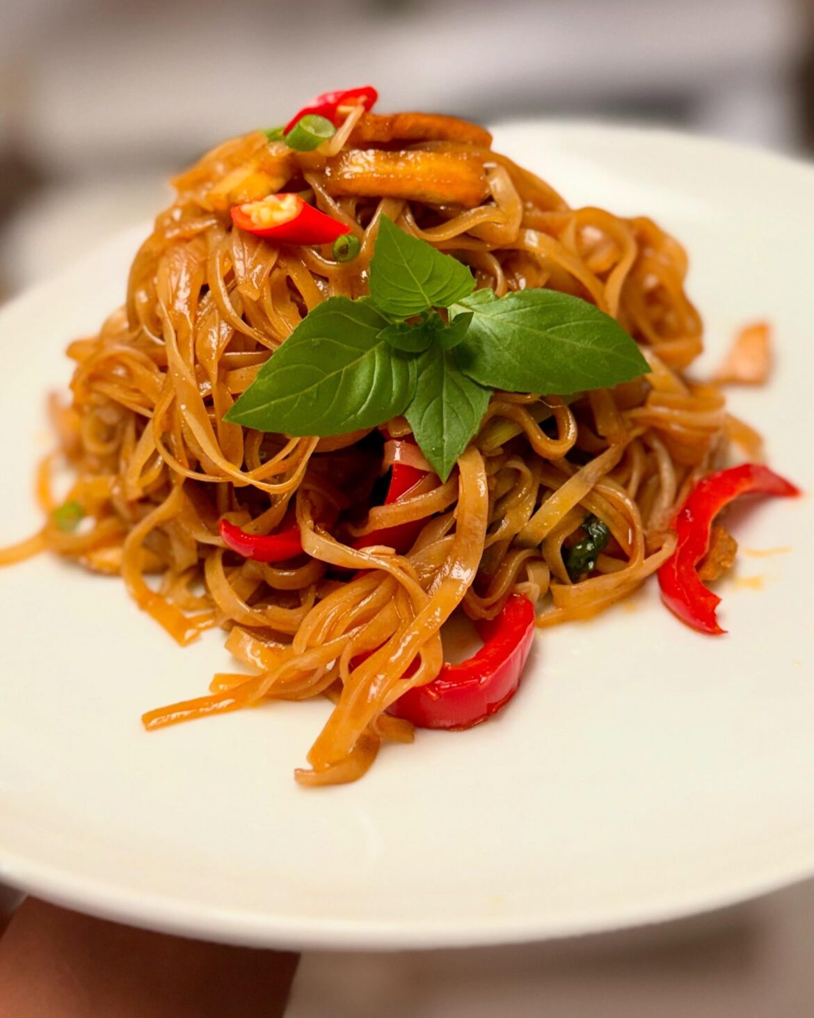 My first tome making drunken noodles