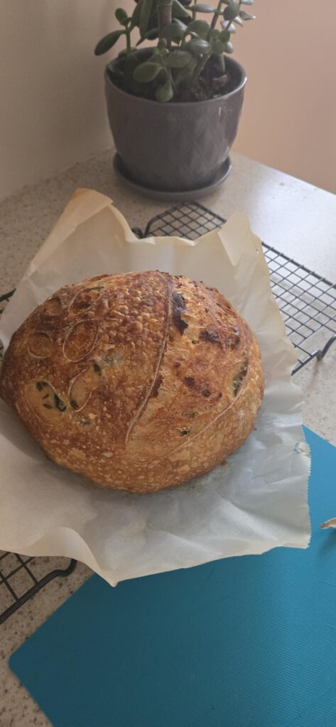 First time posting how did I do? First time posting how did I do?