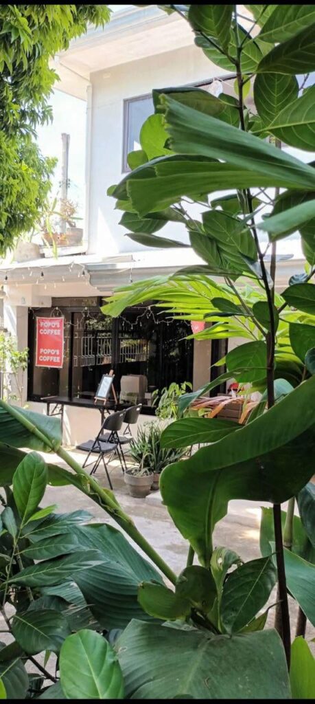 Stumbled upon this leafy little hideout.