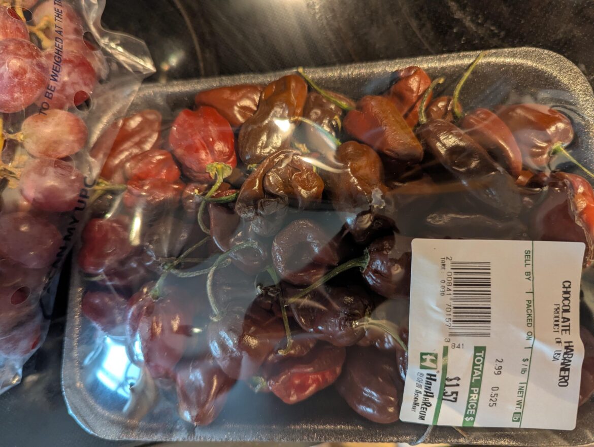 Check out the price on these Danger Habs, there's like 50 of those suckers in there