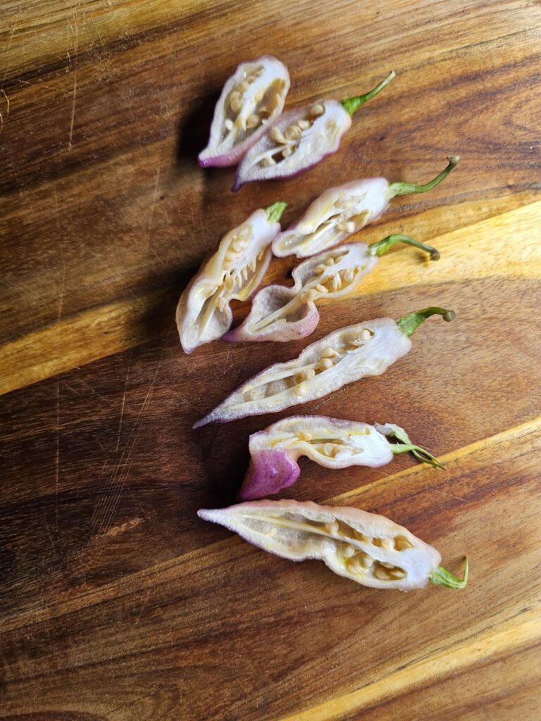 Seed swap anyone? 🌱