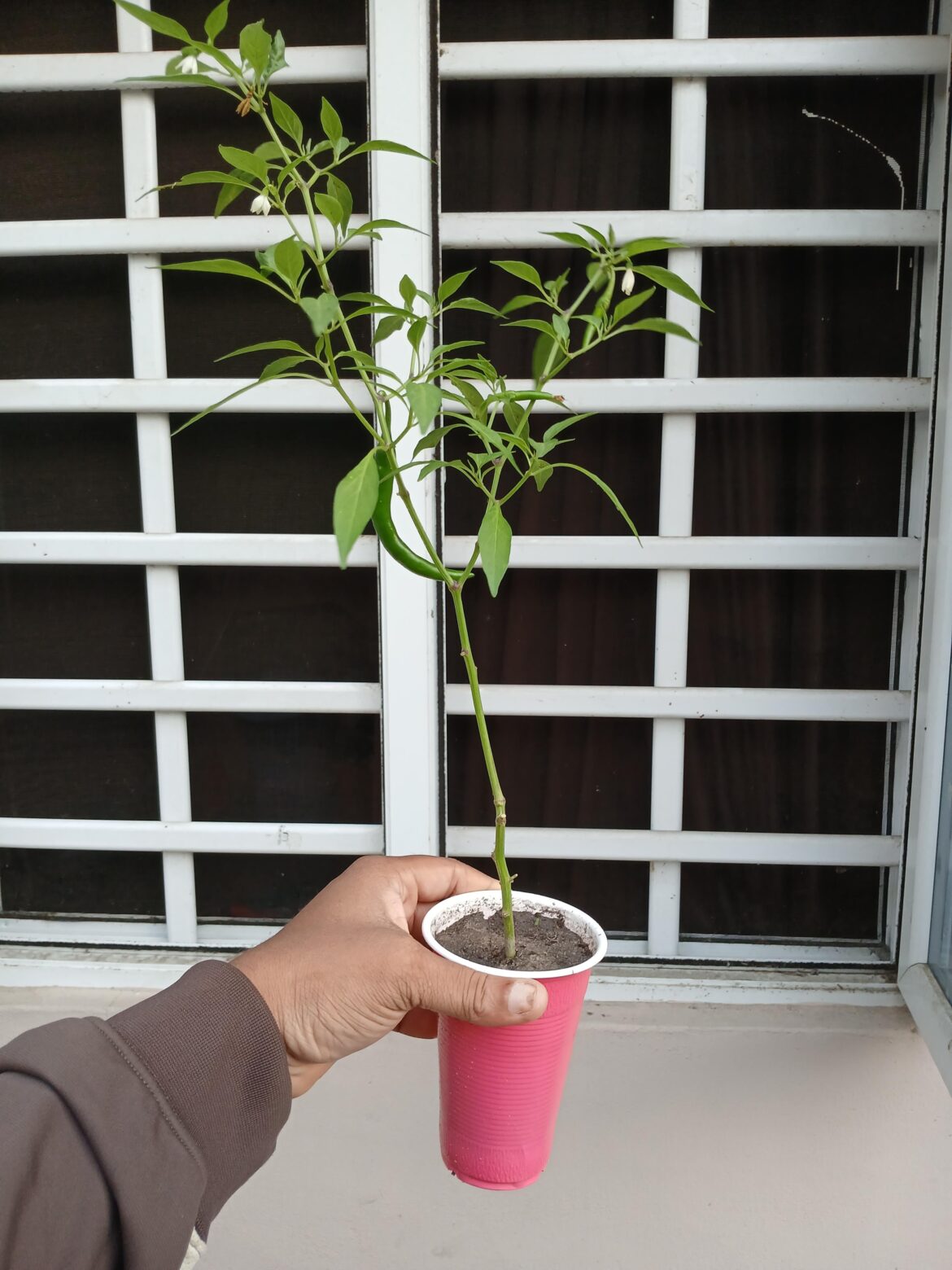 I love her so much 🥹