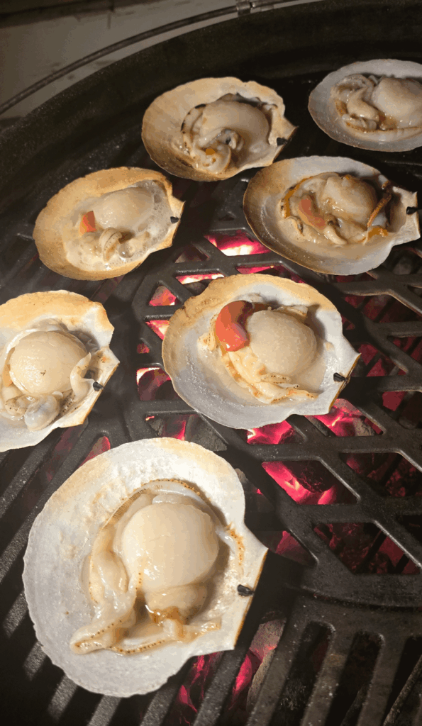 Quick cook on the charcoal last night