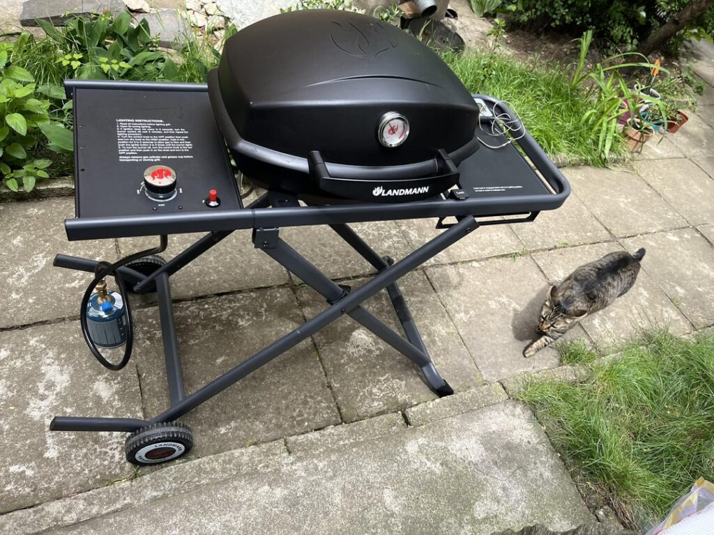Average Sunday grill…