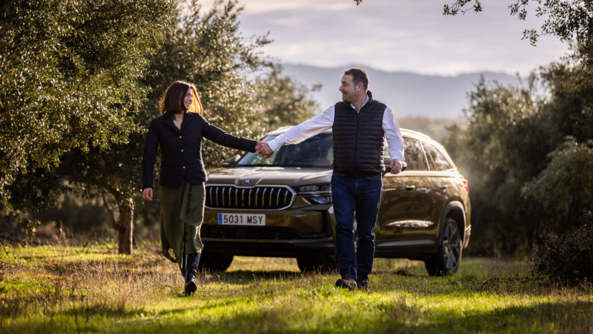 The story of olive oil: from Andalusia to the Czech Republic