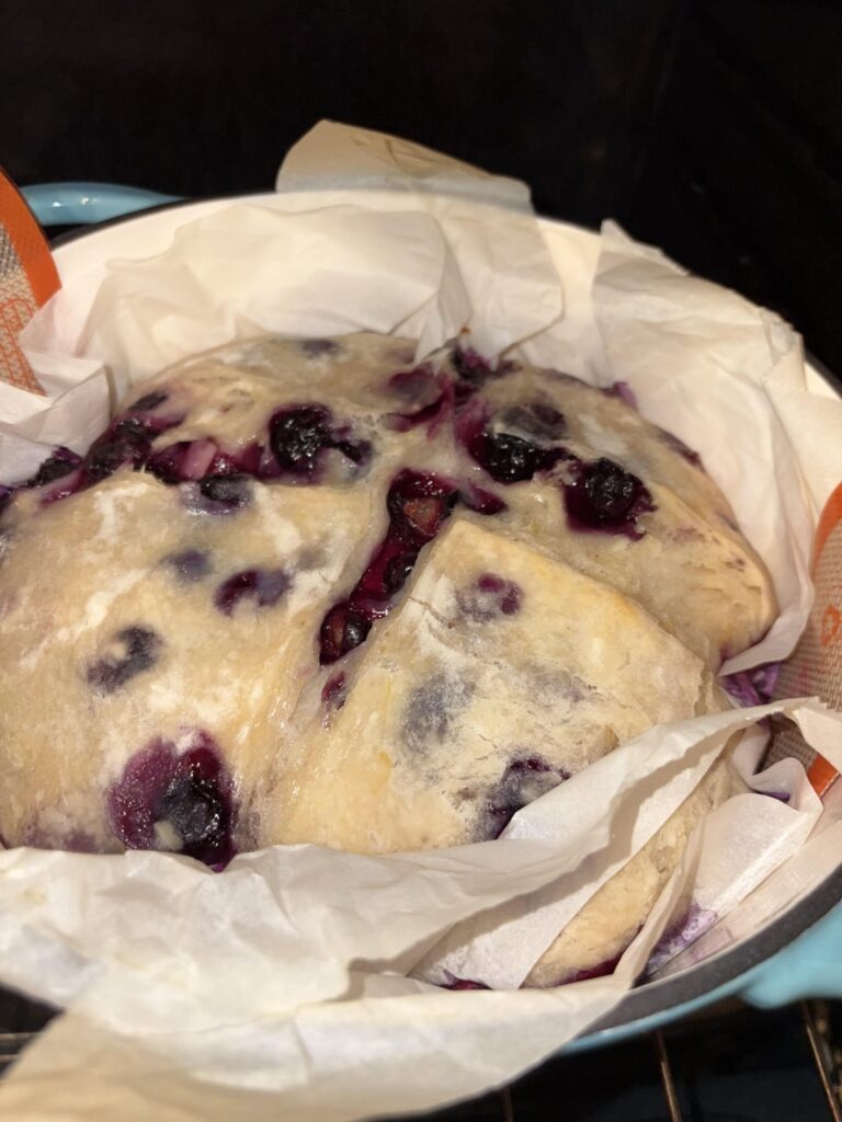 Blueberry Lemon 1st attempt 🫐🍋