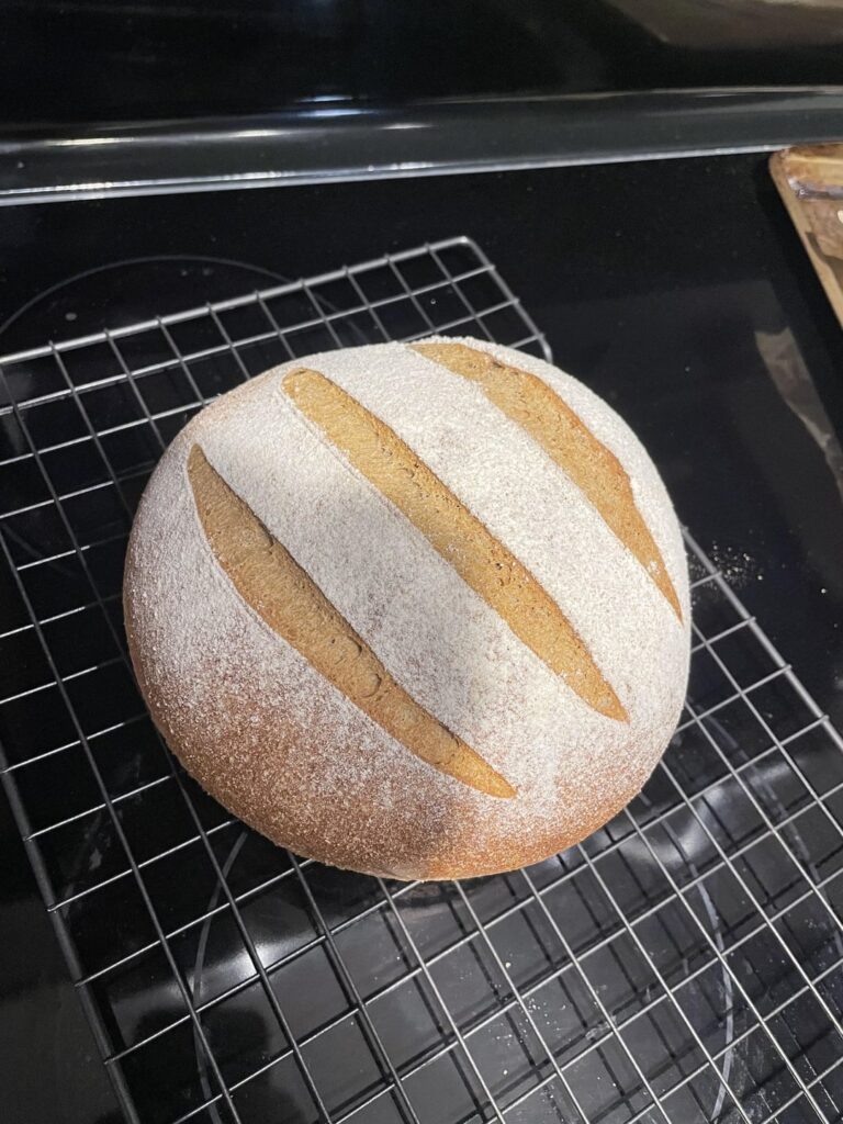 My first Breddit Post (Guinness and Treacle Bread)