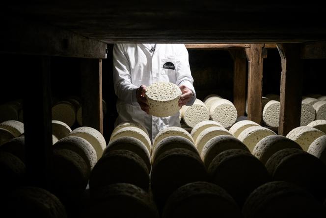 Vincent Combes, master cheesemaker, in the aging cellars of Le Vieux Berger Roquefort in Roquefort-sur-Soulzon, southern France, March 11, 2025.