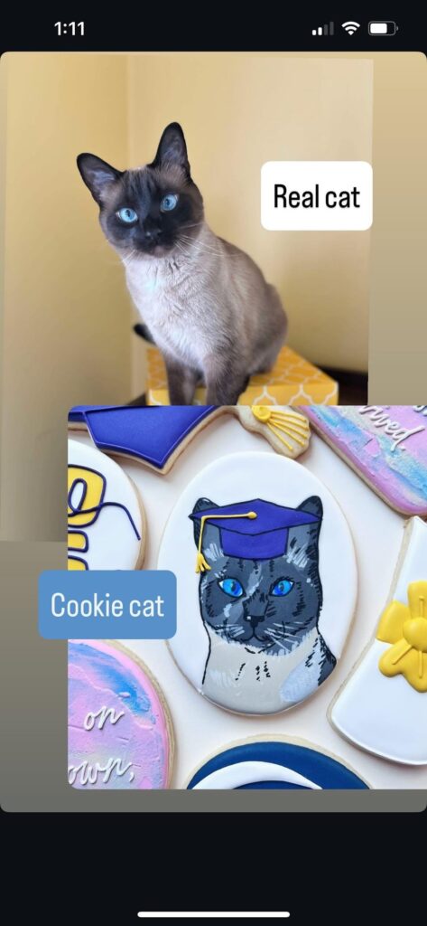Cat cookies!