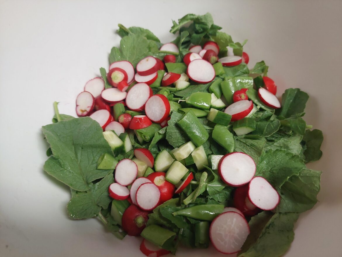 My first salad with things I grew.