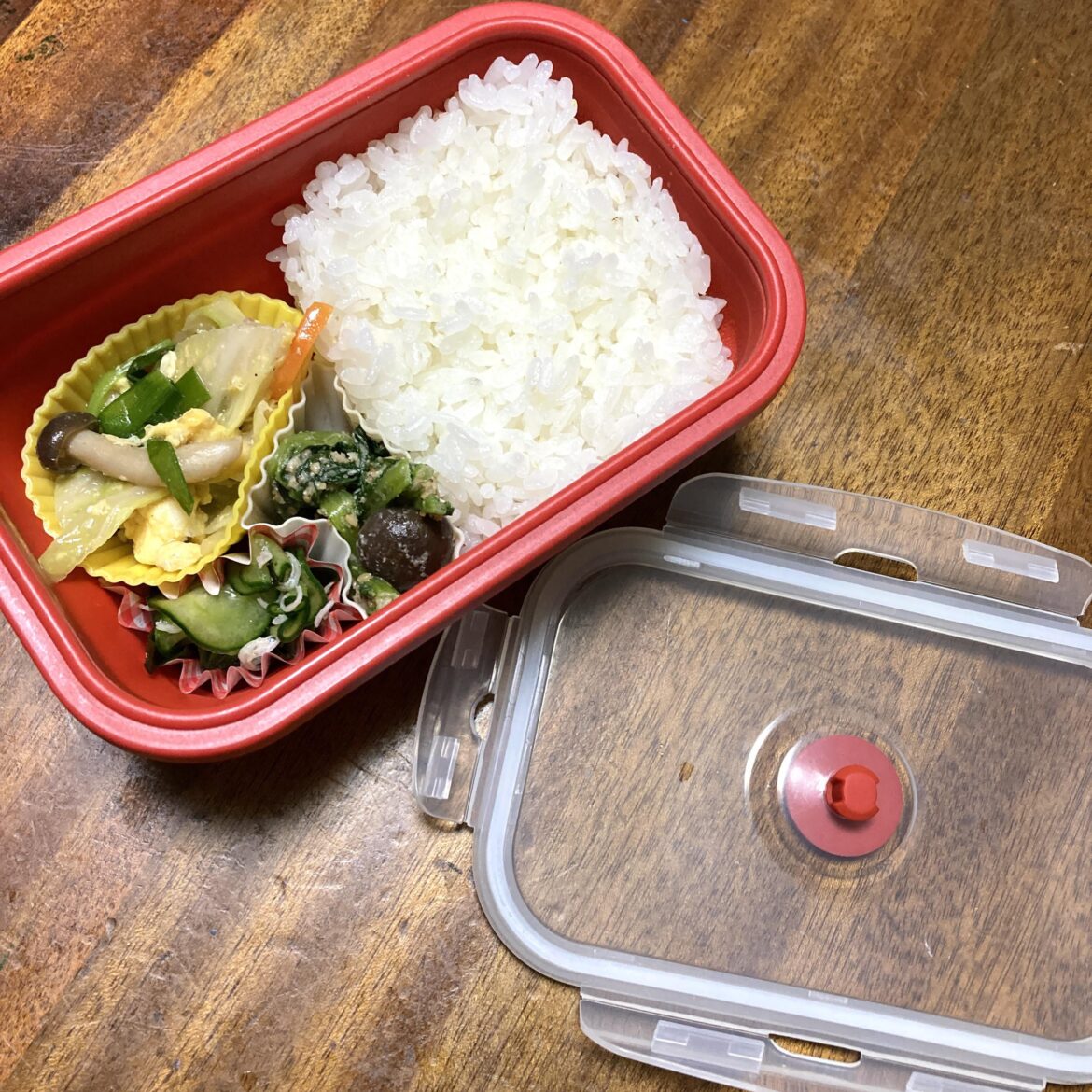 Today’s Bento
