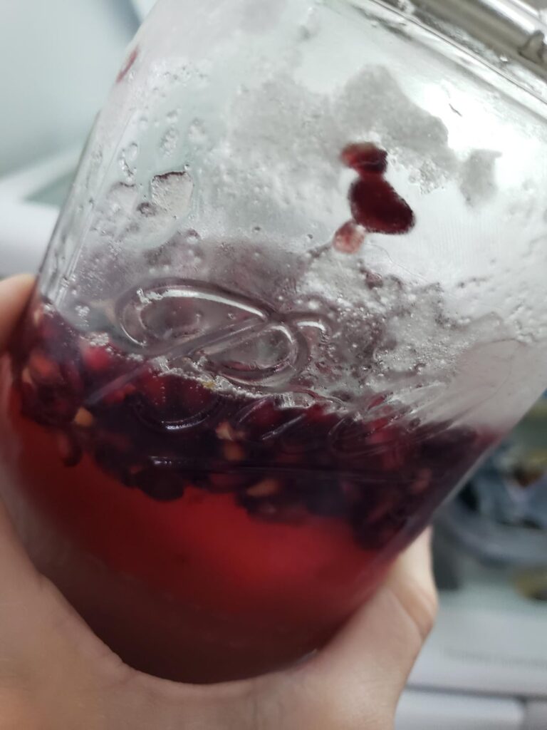 Making simple 2:1 syrup in fridge but is my fruit moldy?