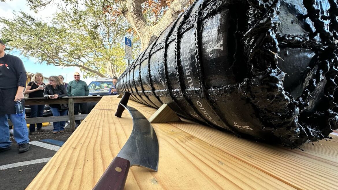 Mazzaro’s in St. Pete cuts 916 pound cheese wheel Mazzaro's in St. Pete cuts 916 pound cheese wheel