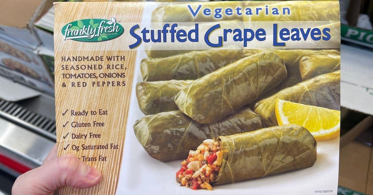 fresh vegetarian stuffed grape leaves