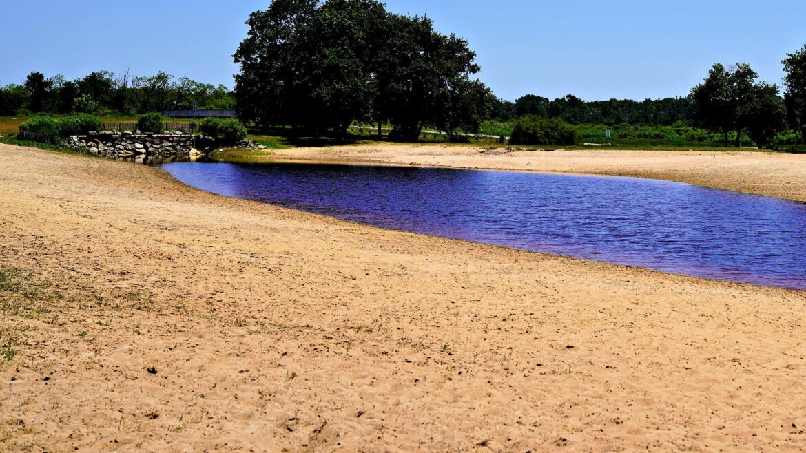 French Farmers Feel Impacts of Worsening Drought Olive Oil Times