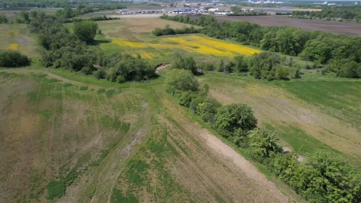 Chicago Heights, Illinois 'Z-farm' helping Urban Growers Collective battle food insecurity, lower carbon footprint