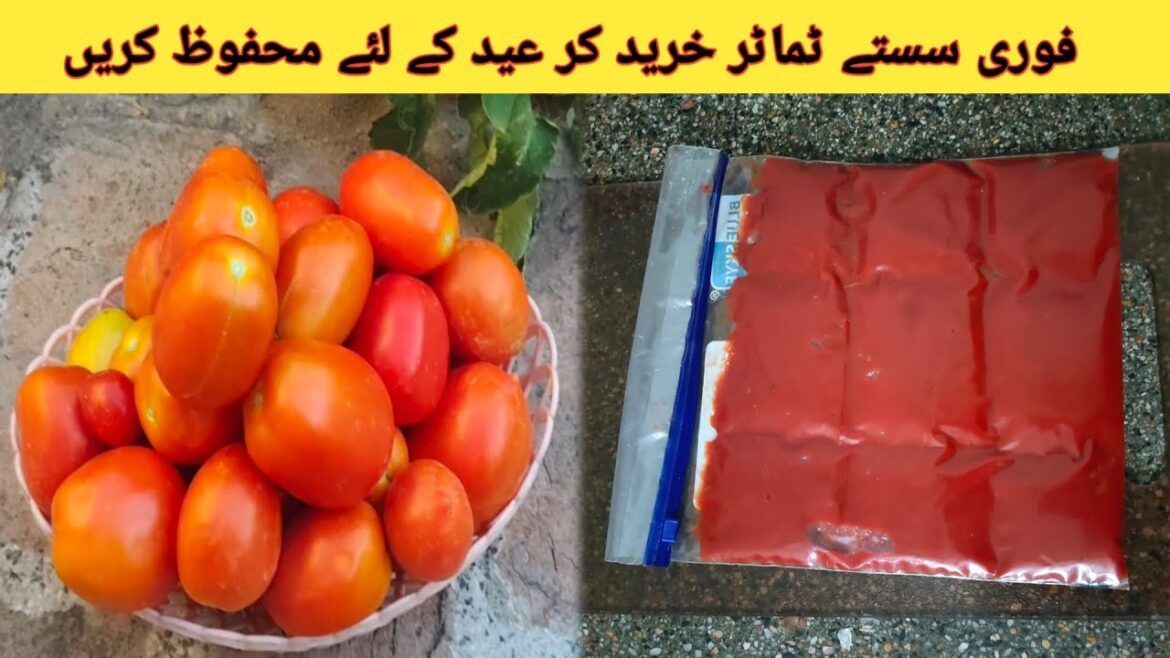 Homemade Tomato Paste Recipe | How To Store Tomatoes For Eid | Make & Freeze | Tomato Puree Recipe | Homemade Tomato Paste Recipe | How To Store Tomatoes For Eid | Make & Freeze | Tomato Puree Recipe |