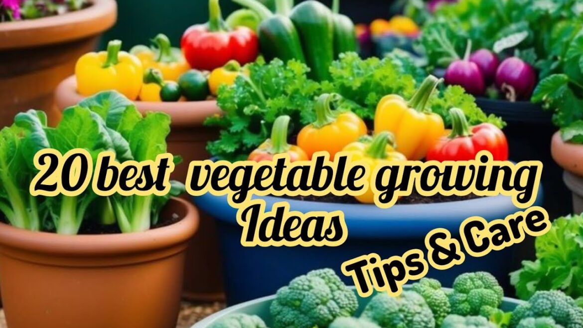 20 best vegetable growing ideas|Fast growing vegetable in vertical style Tips & care 20 best vegetable growing ideas|Fast growing vegetable in vertical style Tips & care