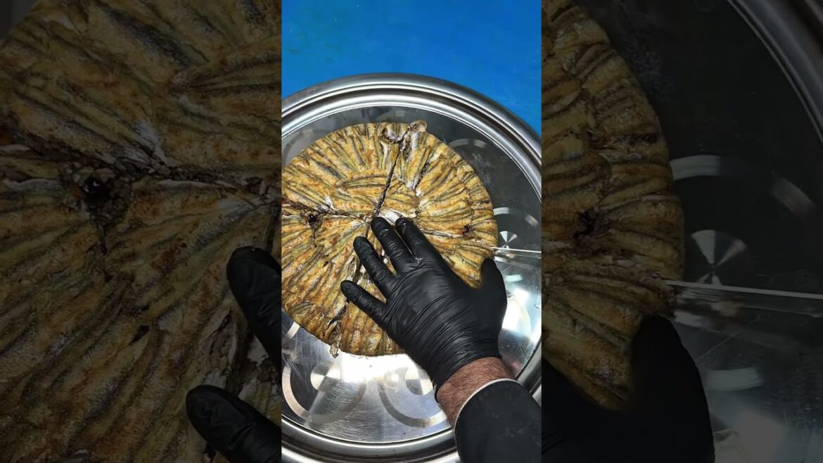 Cihan Derya balıkta lokum gibi hamsi pilavı #food