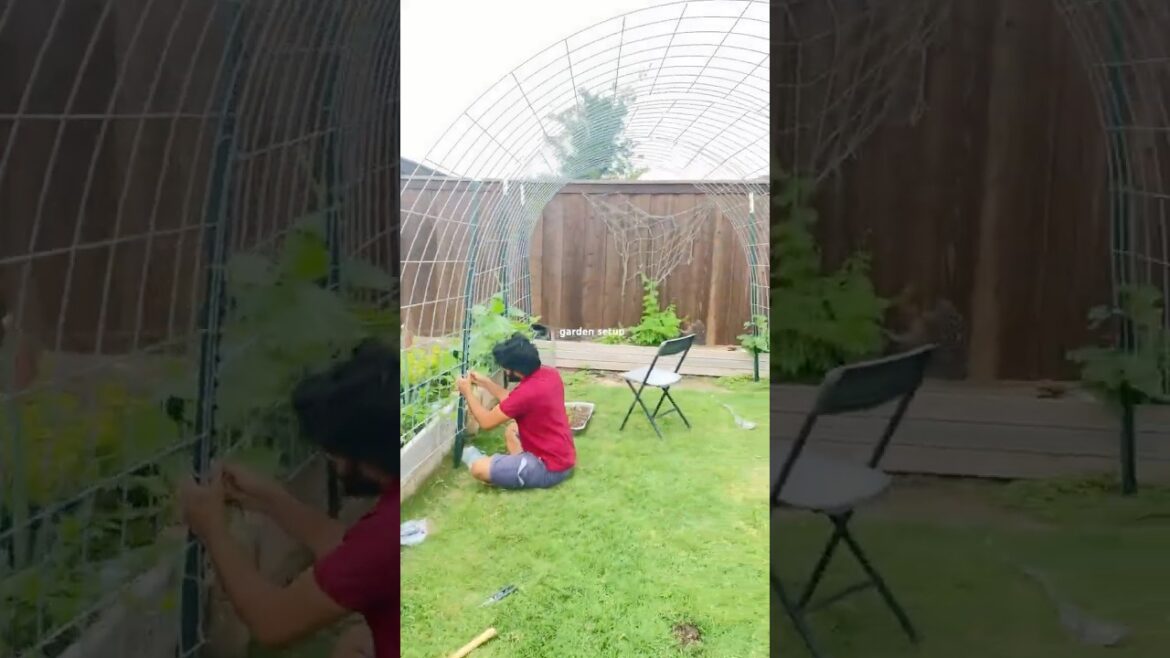 Vegetable Garden Setup-Texas,USA #veggiegarden#telugugardener#telugu#usagardener#backyardgardening
