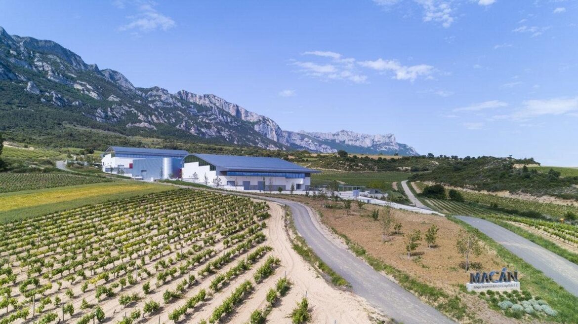 Multimillion-Dollar Winery Built By Wine Icons Produces Elegant Spanish Red Wine