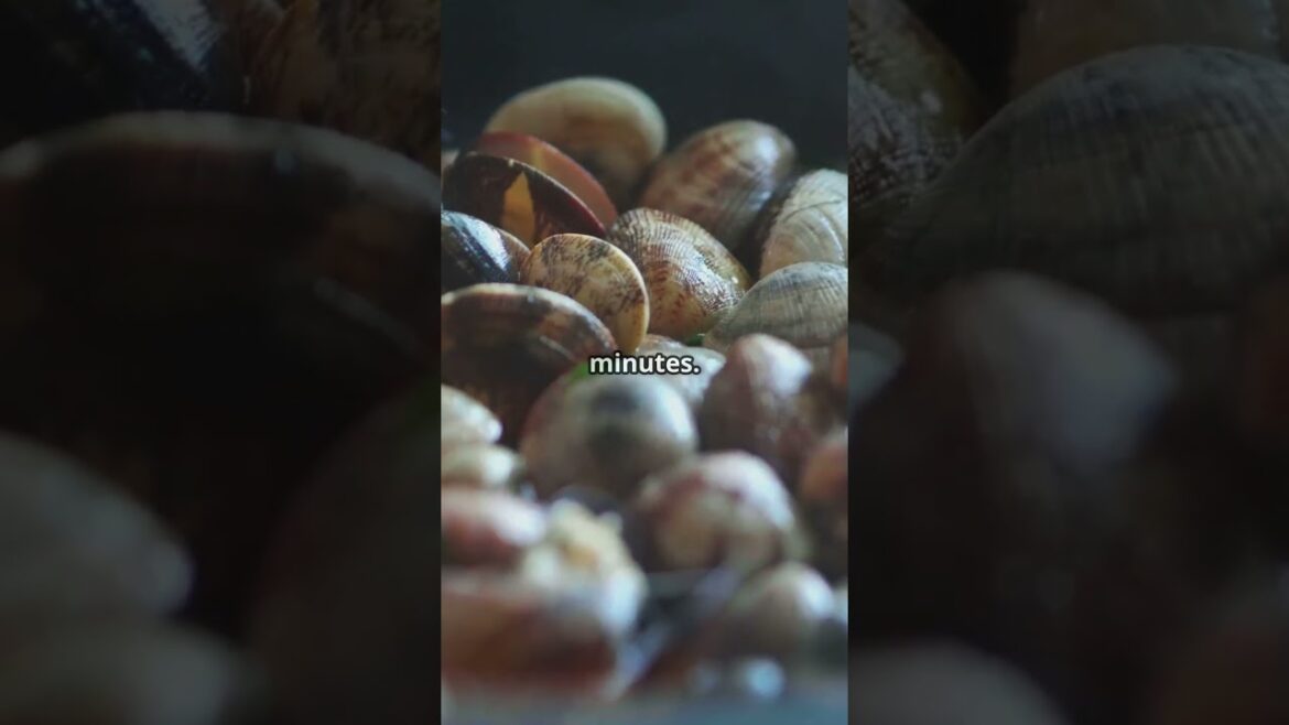 Mastering Spaghetti alle Vongole: A Taste of Italy! Mastering Spaghetti alle Vongole: A Taste of Italy!