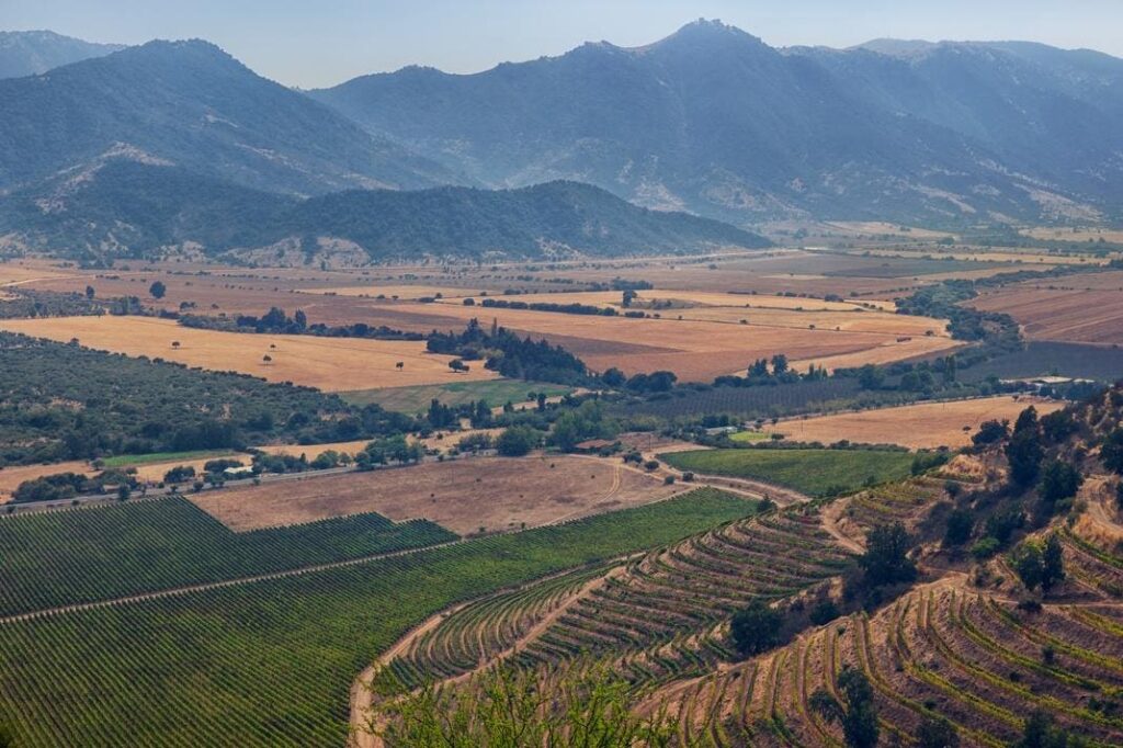 Discover Some Of Chile’s Top Wine Destinations