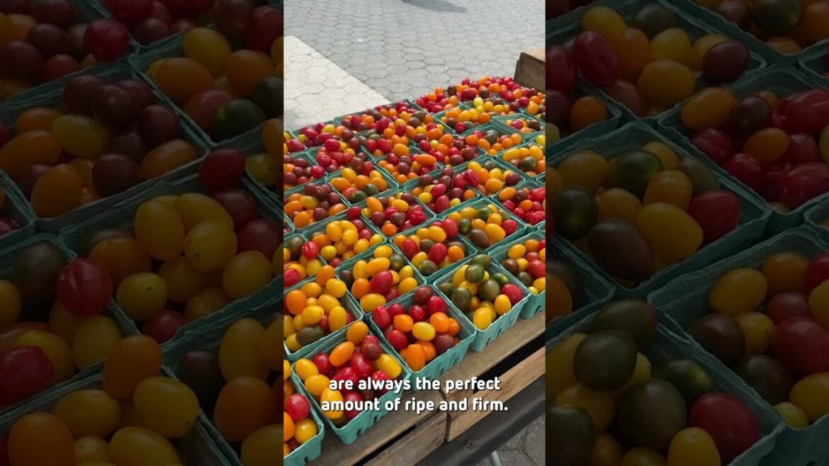 Elevate Your Pasta Primavera with Fresh Farmers Market Finds Elevate Your Pasta Primavera with Fresh Farmers Market Finds