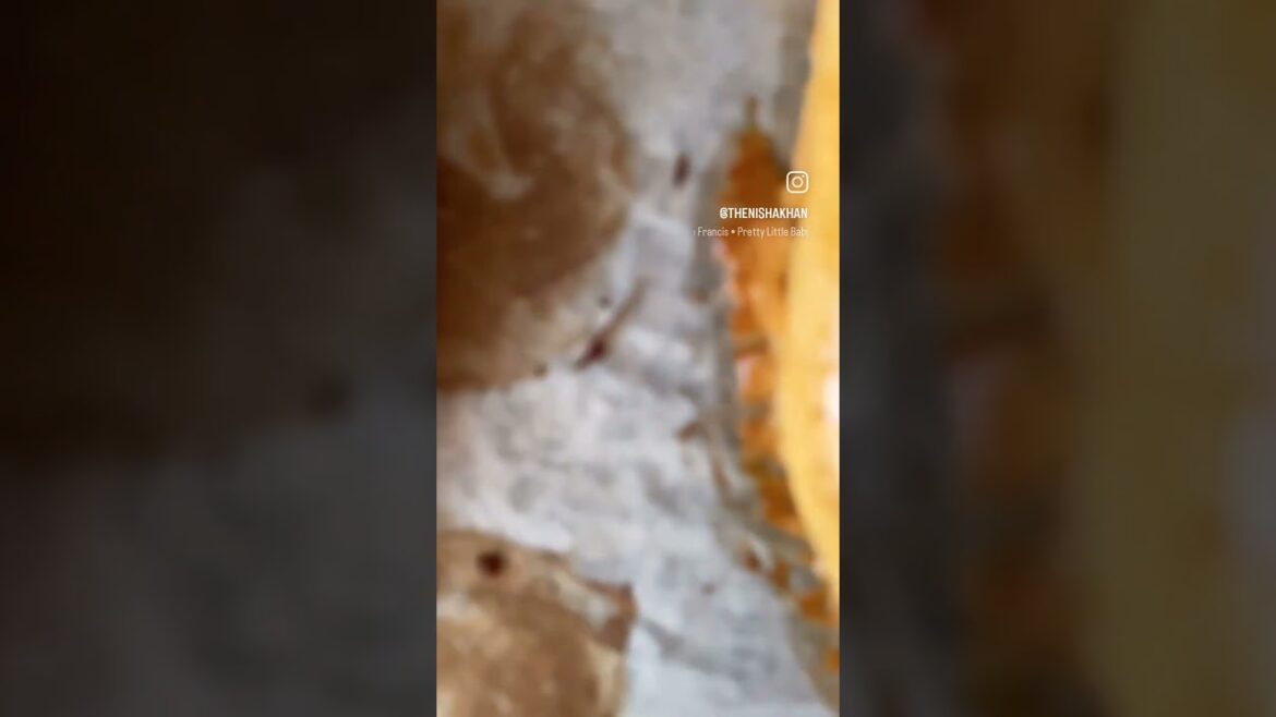 Peynirli ve Patatesli #Pide. #türkyemekleri #yemek #turkishpizza #turkishfood #food #peynirlipide