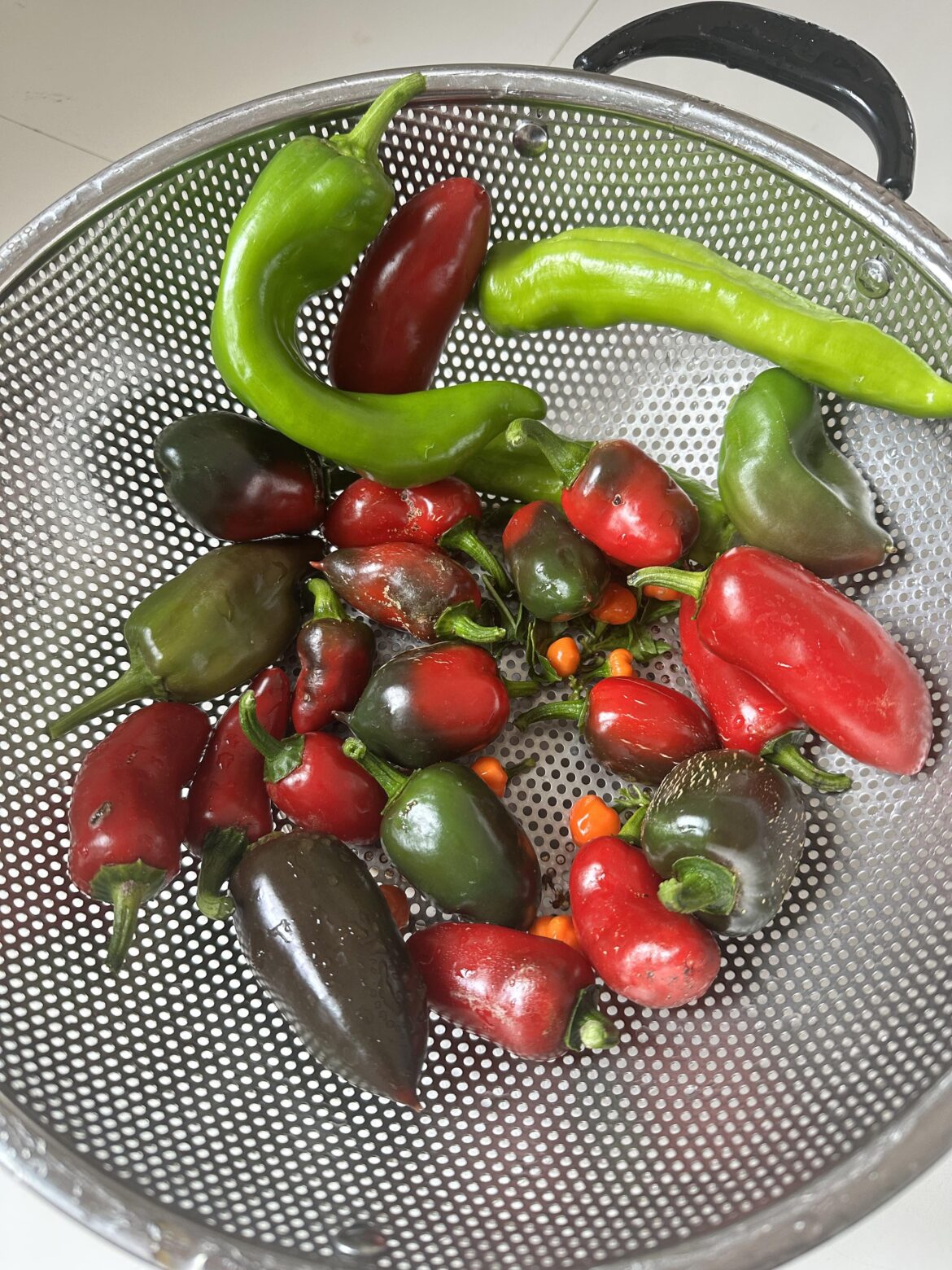 Freshly picked pepper mix. What should I make?