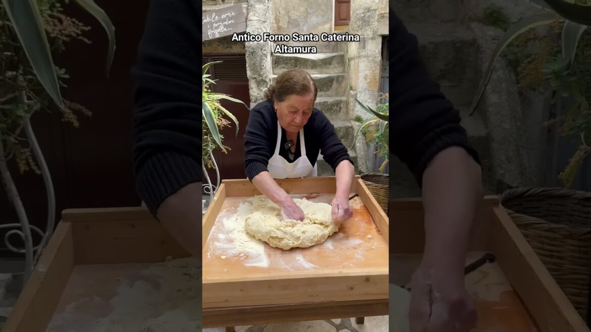 The BEST italian bread: il pane di Altamura The BEST italian bread: il pane di Altamura