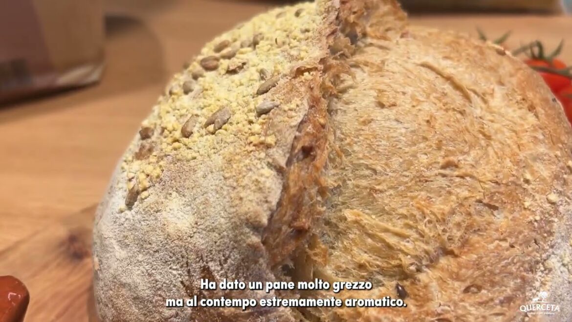 Querceta e Petra per il nuovo pane rustico bio Querceta e Petra per il nuovo pane rustico bio