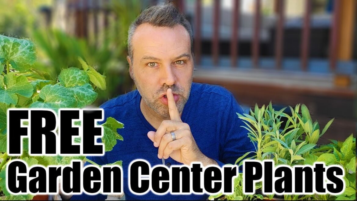 Secrets Garden Centers Don't Want You To Know!