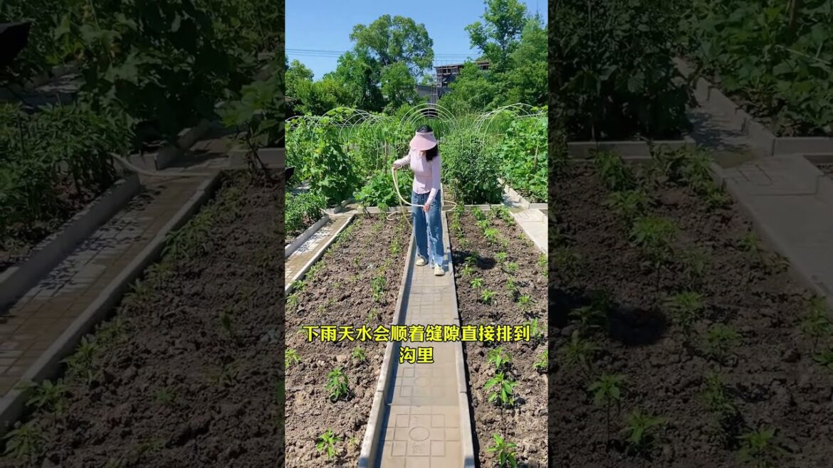 Daily work in my garden #farming #veggieslover #garden #vegetables #farmer