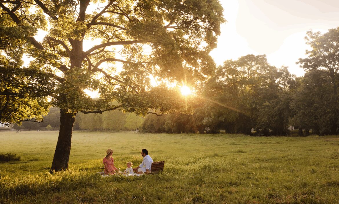 Petersham Nurseries has launched picnic service for Richmond Park