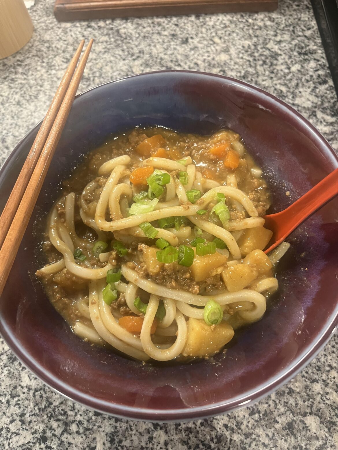Beef curry udon noods