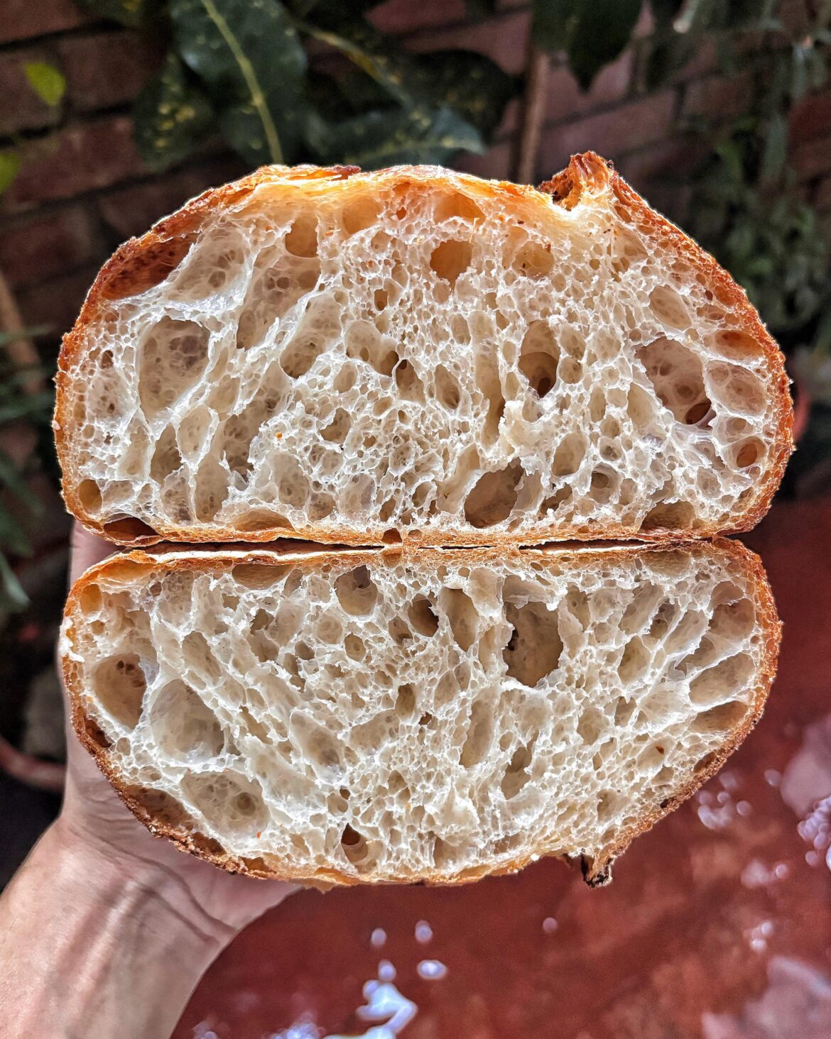 The ‘Everything that could go wrong’ Sourdough Loaf